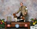 Ellie european basset hound female taking winners bitch at her first AKC show