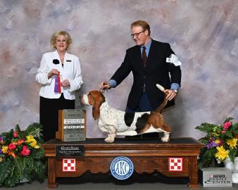 Landon Hutchison professional handler for Bar H Farms