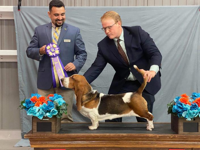 Ellie earning her puppy titles and puppy wins under esteemed judge Jaoa Machado