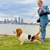 Tandem AKC Grand Champion European Basset Hound male
