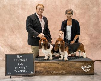 Bean and Indy at the recent UKC show.