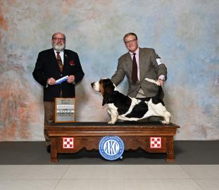 Mozart and Landon at the Purina Farms AKC show.