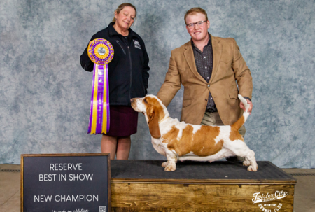 Dory is a champion basset hound at Bar H Farms in Missouri. 